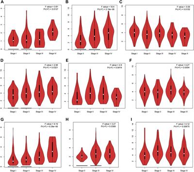 Potential prognostic and immunotherapeutic value of calponin 1: A pan-cancer analysis